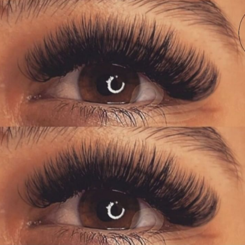 Bild Wimpern und Augenbrauen 1