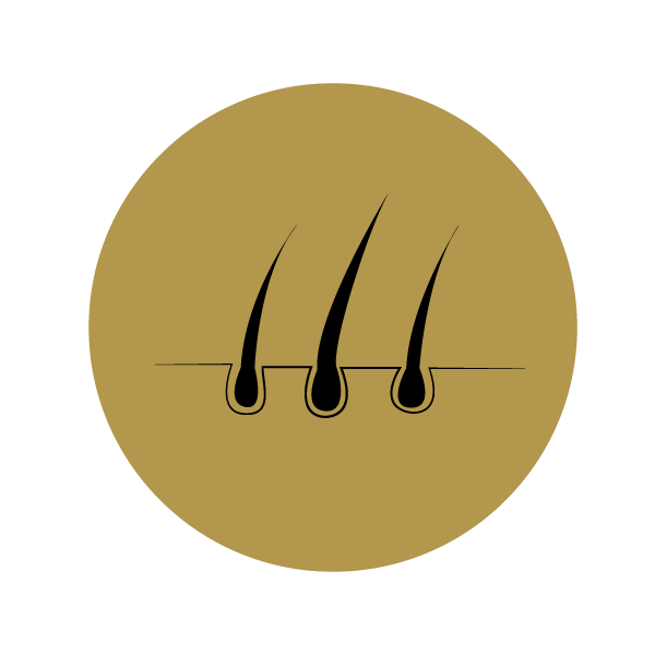 Icon_Haarentfernung